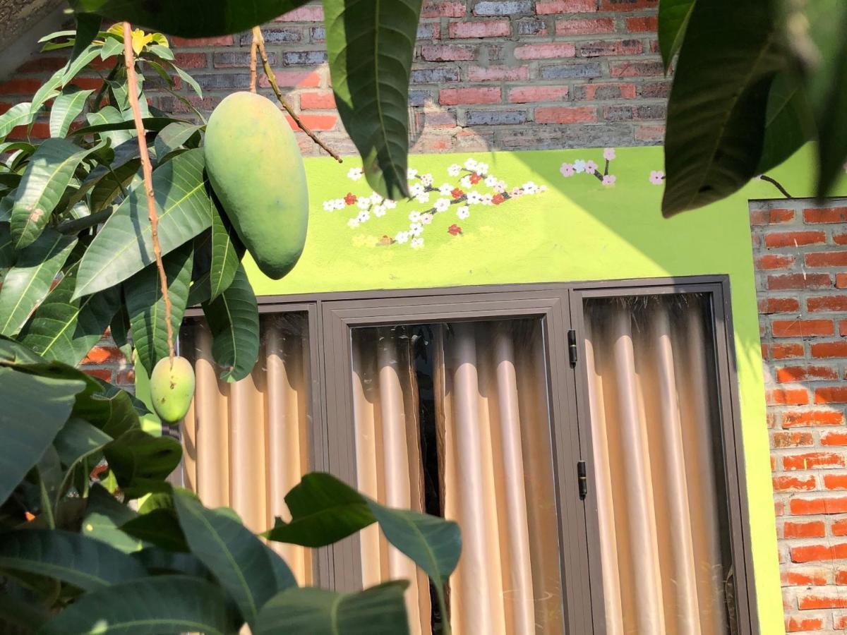 Cat Ba Rustic Homestay Hien Hao Ngoại thất bức ảnh