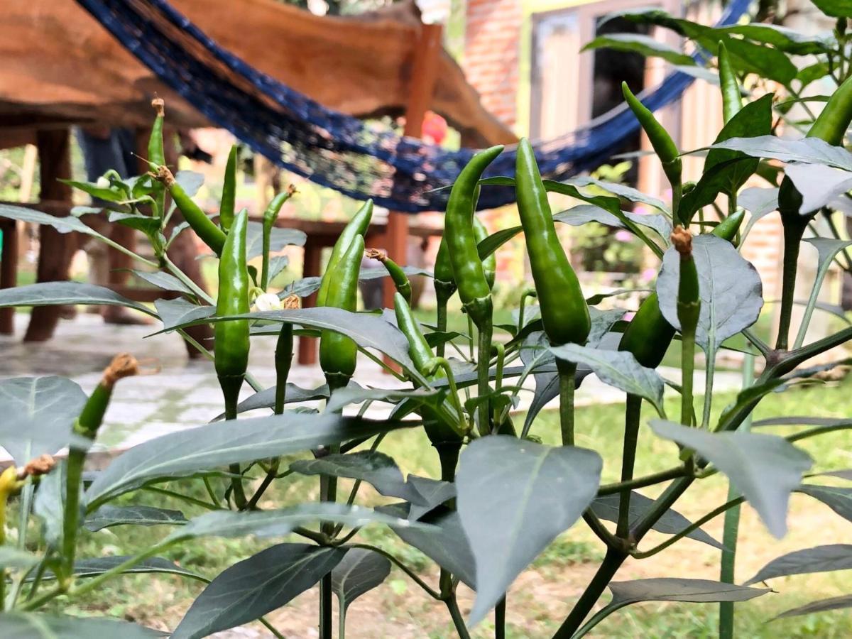 Cat Ba Rustic Homestay Hien Hao Ngoại thất bức ảnh
